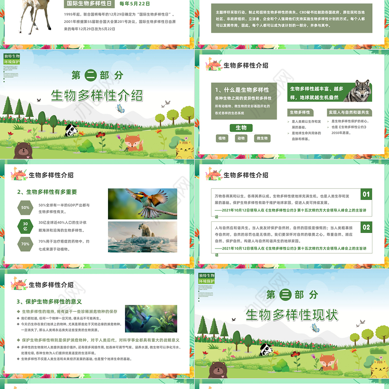 国际生物多样性日PPT简洁风《2023年认识生物多样性保护生物多样性专题知识》课件