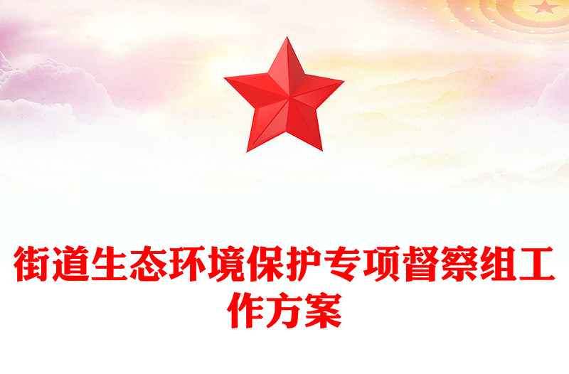 街道生态环境保护专项督察组工作方案