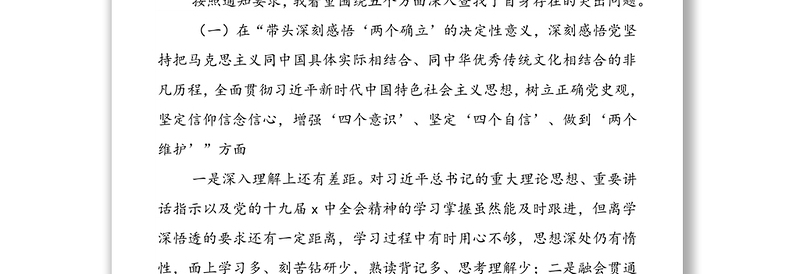 政府领导2021年民主生活会个人对照检查材料