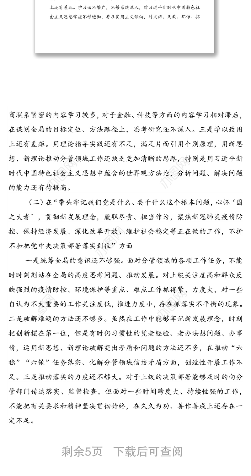 政府领导2021年民主生活会个人对照检查材料