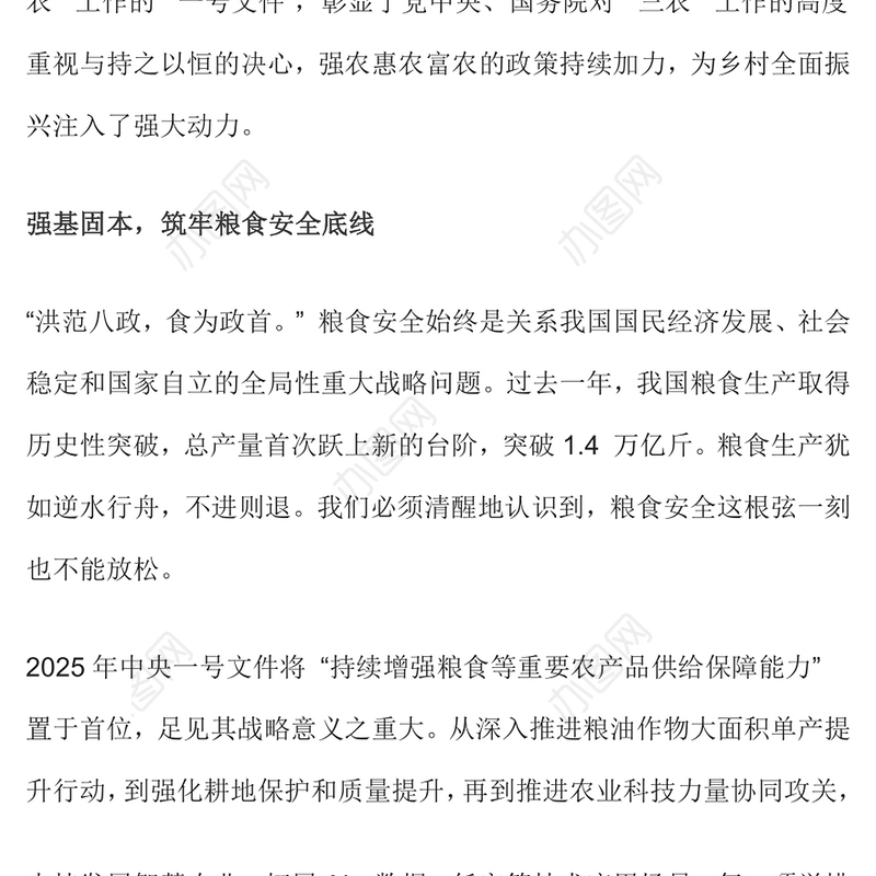 2025中央一号文件解读PPT深化农村改革扎实推进乡村全面振兴课件(讲稿)