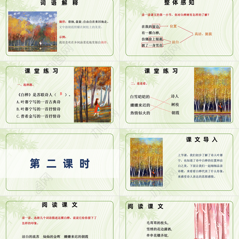 2022白桦PPT第11课小学四年级语文下册部编人教版教学课件