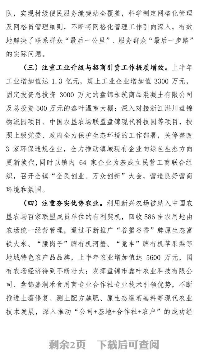 乡镇党委书记个人总结报告