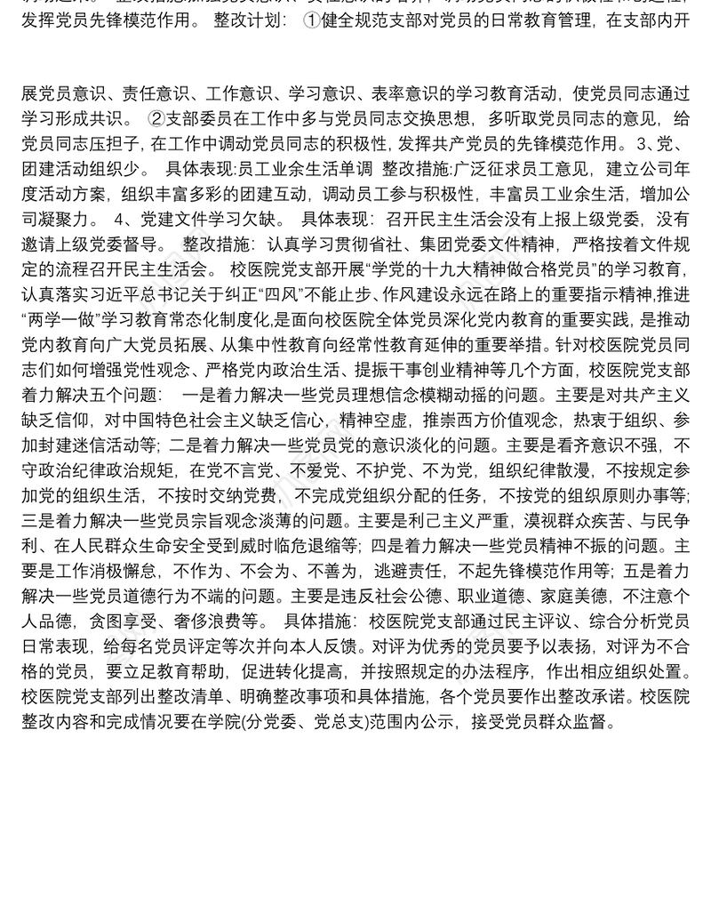 党支部问题清单及整改措施