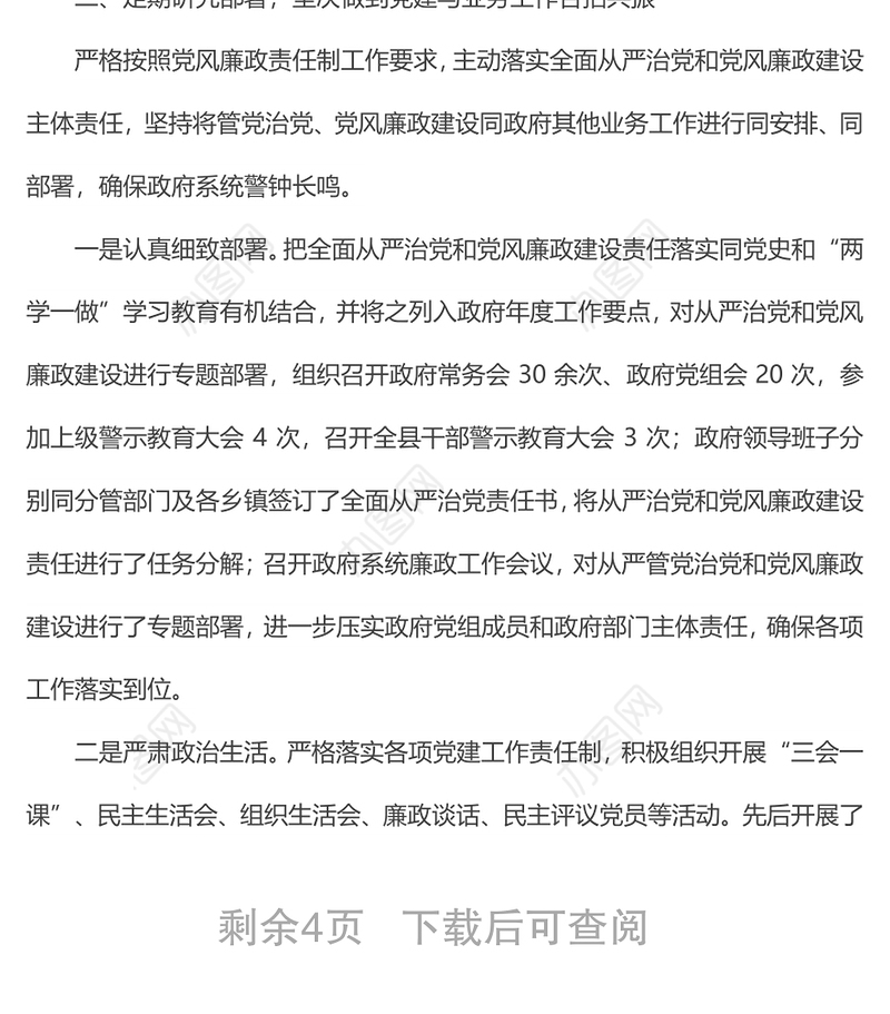 县政府党组落实全面从严治党主体责任情况报告