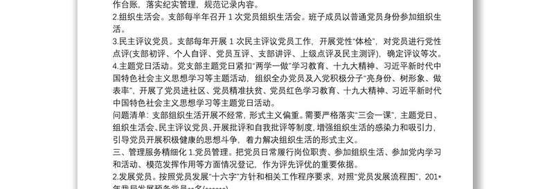 五化五强党支部党支部“五化”建设自查情况报告三篇