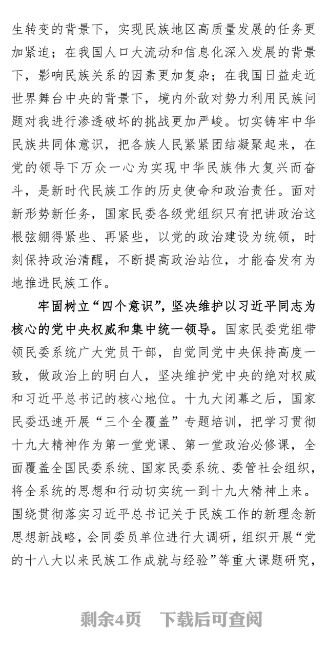 以党的政治建设为统领奋发有为做好新时代民族工作