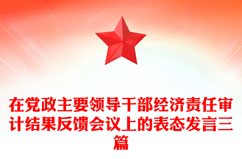 在党政主要领导干部经济责任审计结果反馈会议上的表态发言三篇