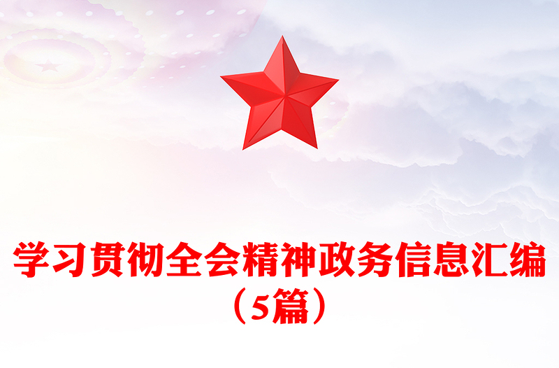 学习贯彻全会精神政务信息汇编（5篇）