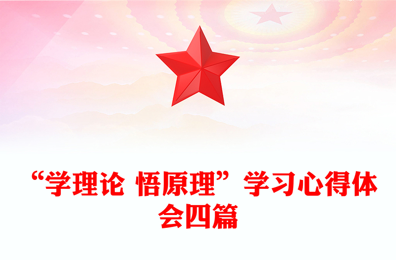 “学理论 悟原理”学习心得体会四篇