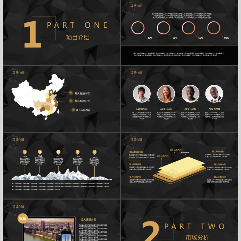 简约大气黑金商务策划融资计划书