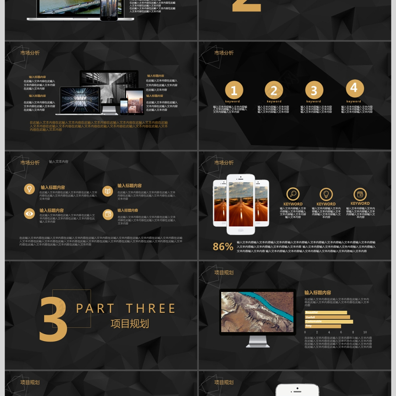 简约大气黑金商务策划融资计划书