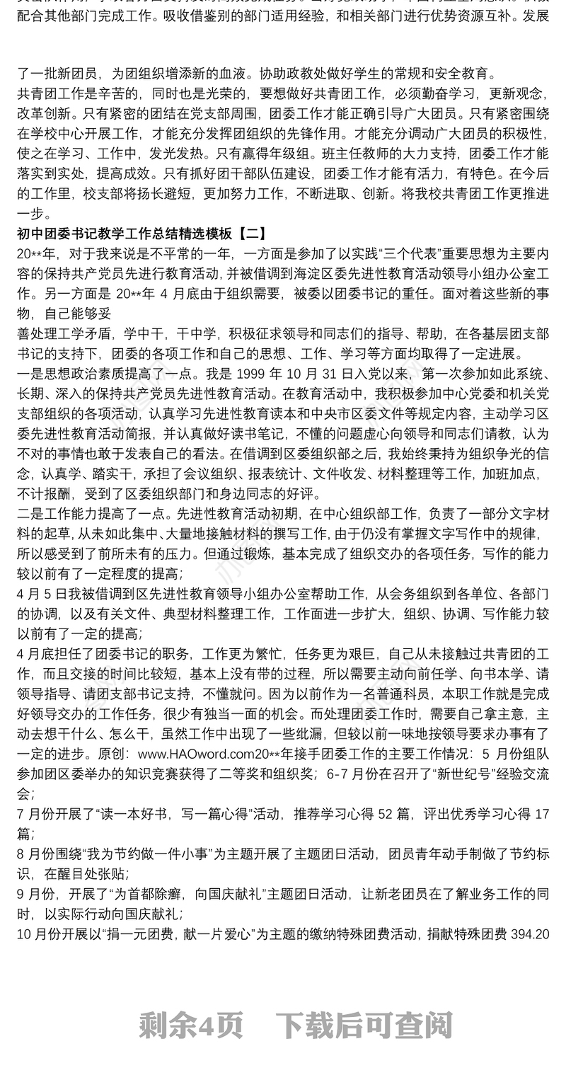 初中团委书记教学工作总结精选模板