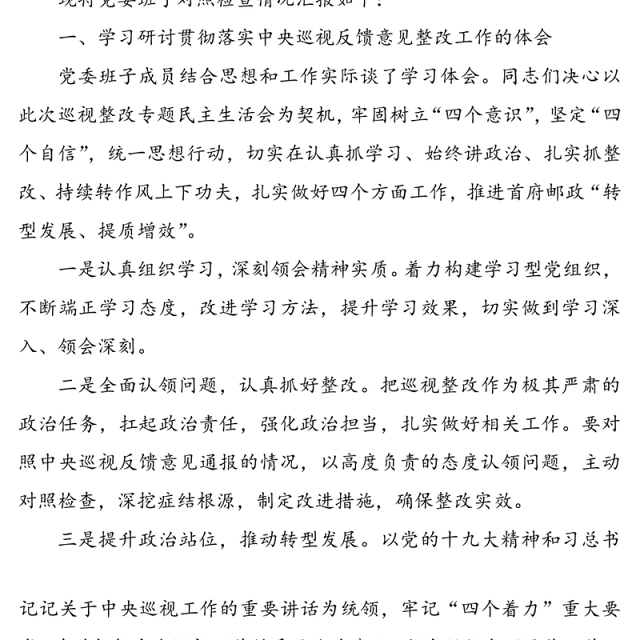 党委班子成员2020年巡视整改专题民主生活会对照检查发言材料