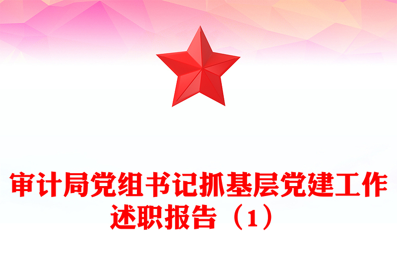审计局党组书记抓基层党建工作述职报告（1）