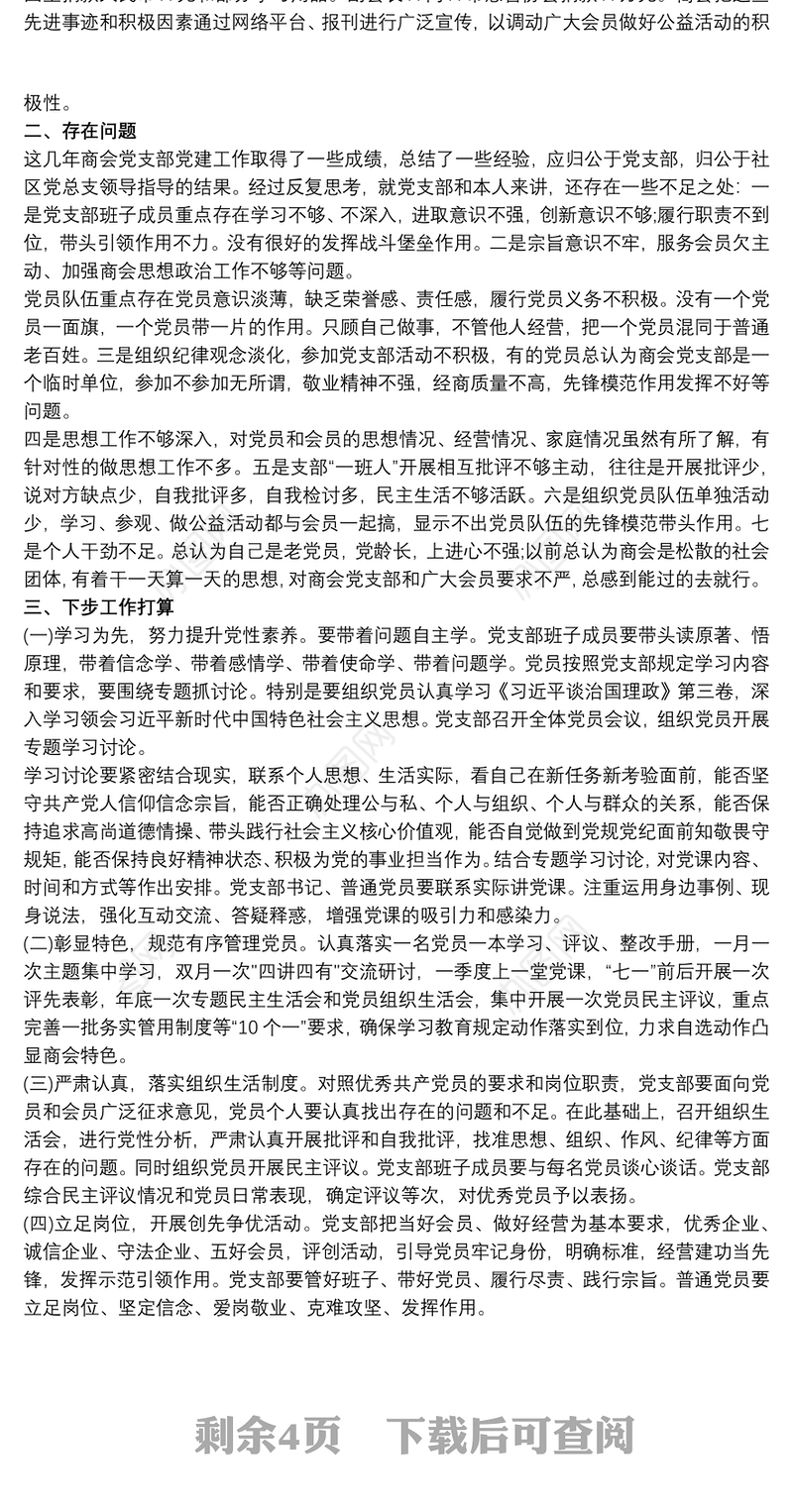 两新党支部书记20xx年度述职报告总结材料