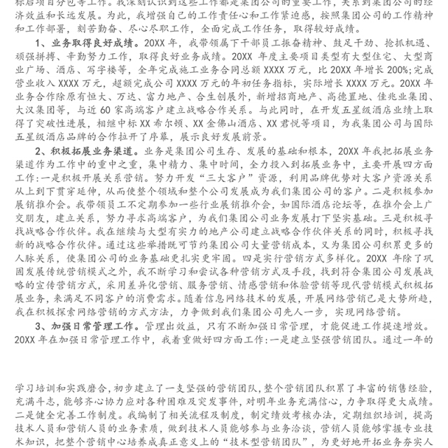 集团公司副总经理个人年终工作总结