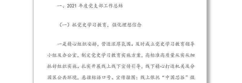 XX高新区党支部2021年度工作总结