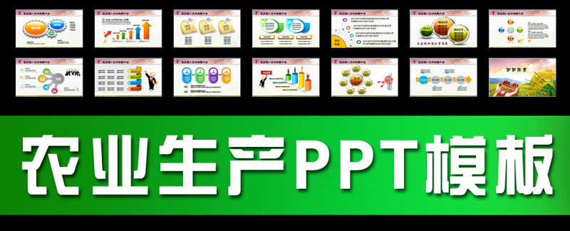 农业生产水稻播种新农村建设PPT