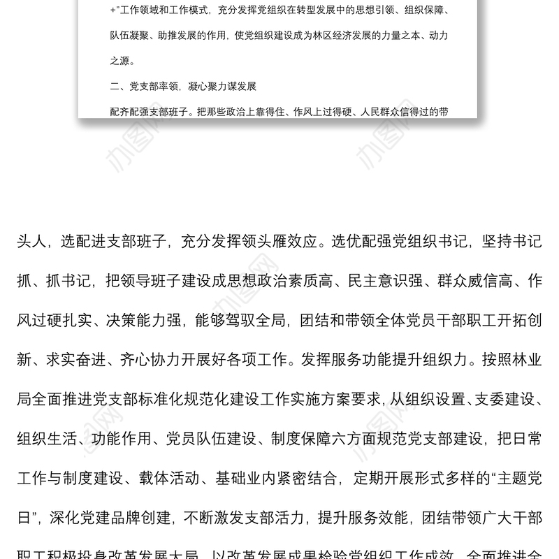 发挥基层党组织和党员作用助力转型发展工作开展情况汇报