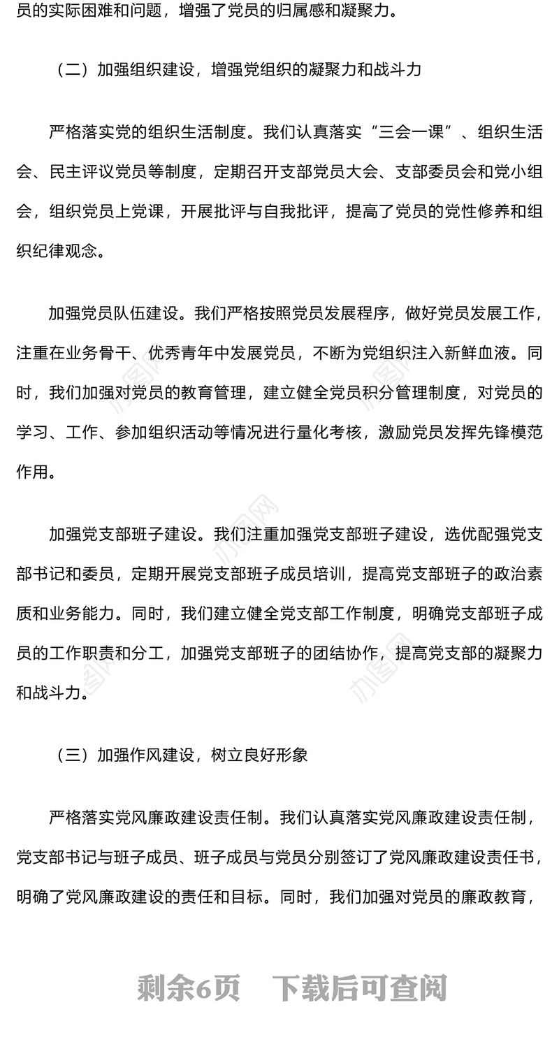 乡村党支部2024年工作总结