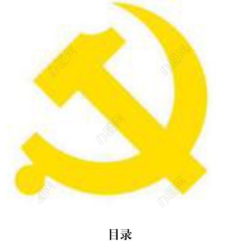 中共XX有限公司XX党支部换届选举材料模板汇编