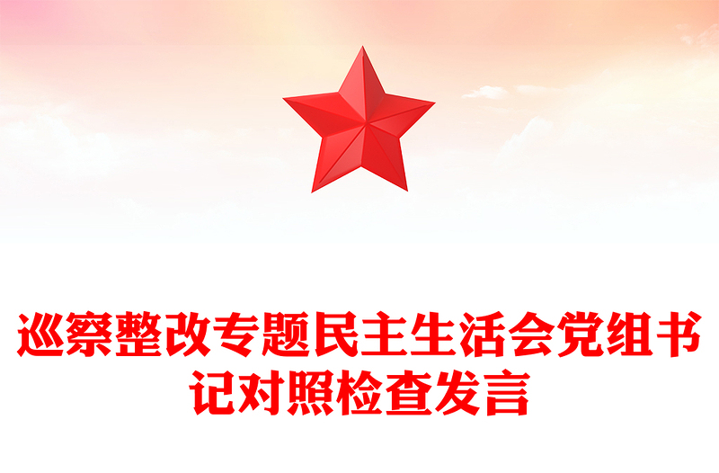 巡察整改专题民主生活会党组书记对照检查发言