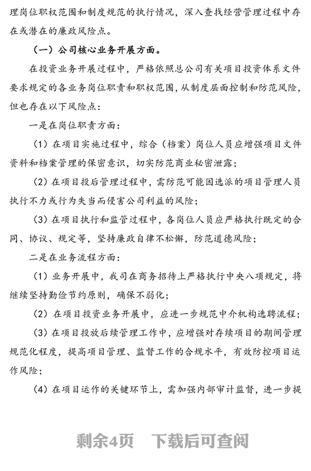 公司廉政风险排查工作报告