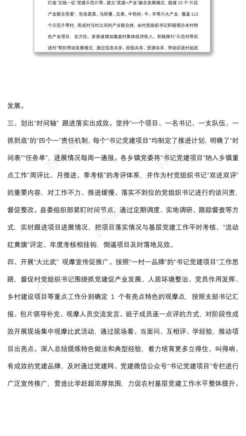 “书记党建项目”工作情况汇报