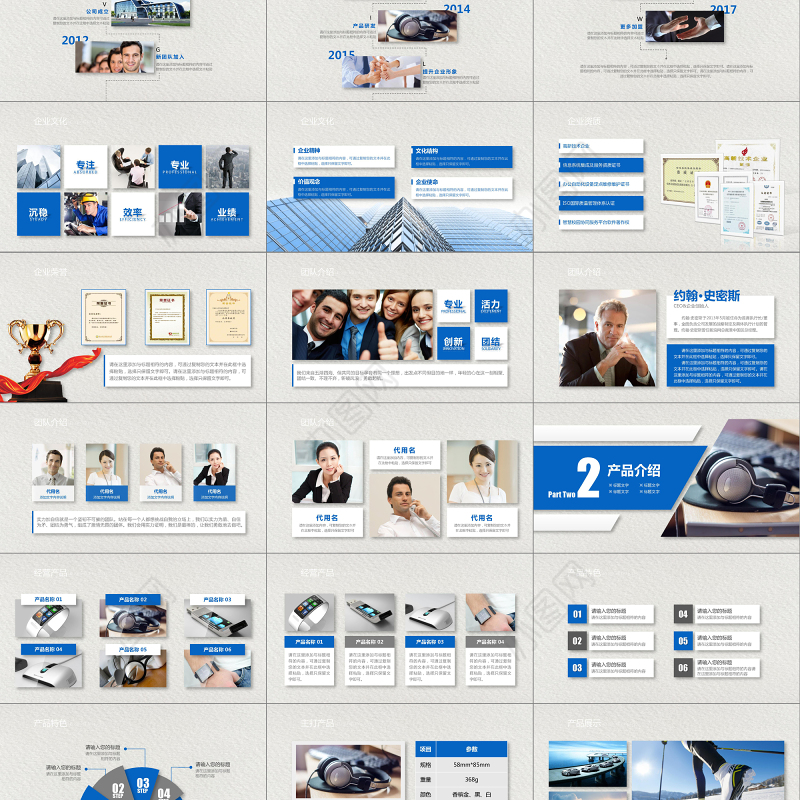 企业介绍公司简介文化宣传团队精神商务汇报