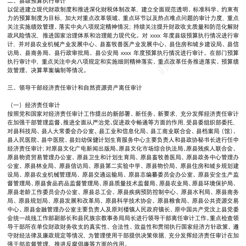 年度审计局审计项目工作计划参考范文