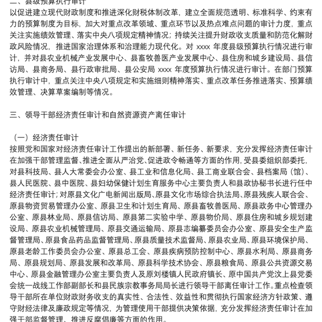 年度审计局审计项目工作计划参考范文