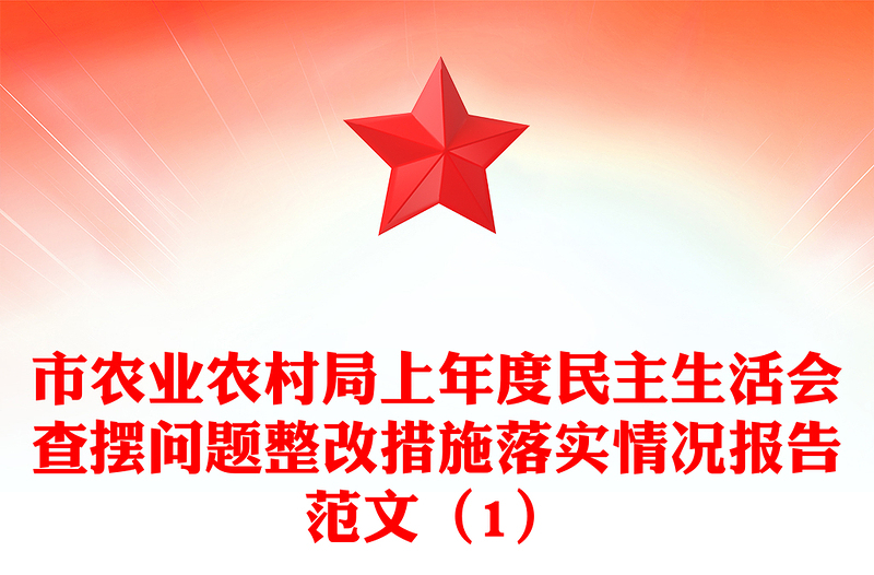 市农业农村局上年度民主生活会查摆问题整改措施落实情况报告范文（1）