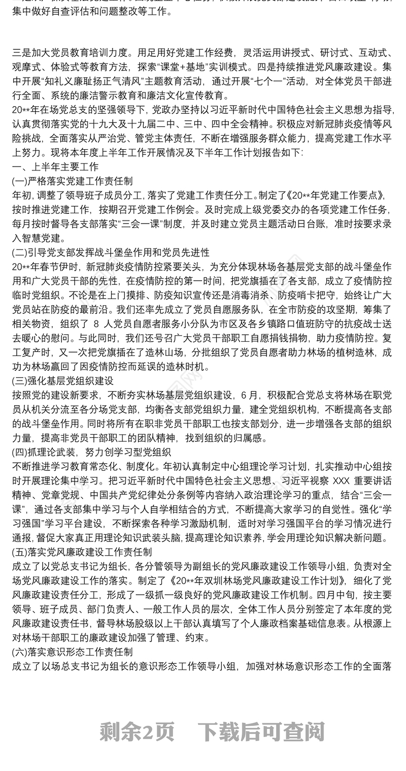 202120xx年党建上半年工作总结及下半年工作计划