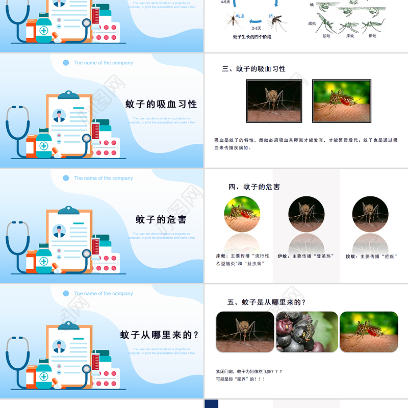 2022预防登革热防蚊灭蚊主题班会PPT创意清新医疗急救常识通用PPT模板