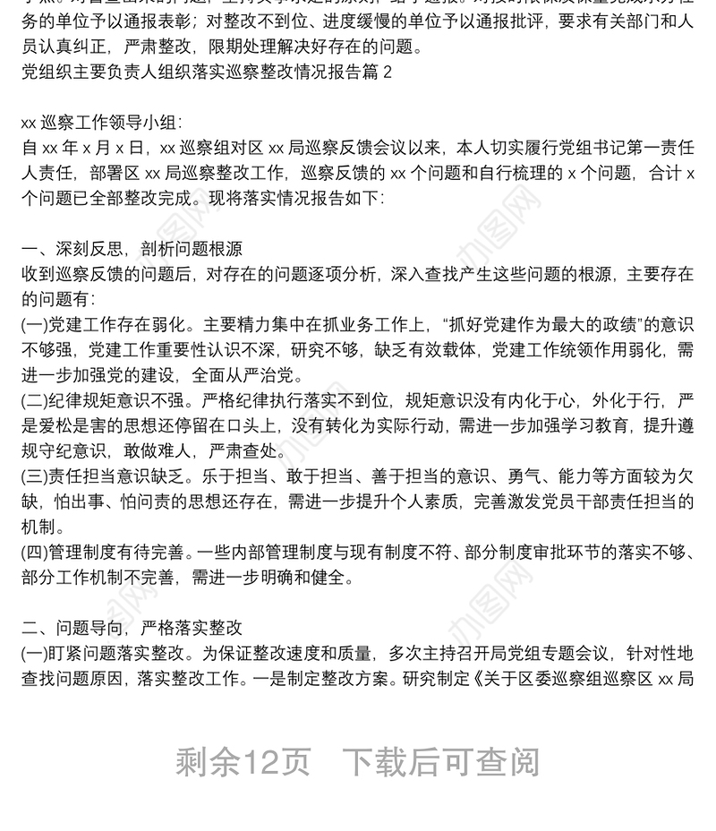 党组织主要负责人组织落实巡察整改情况报告6篇