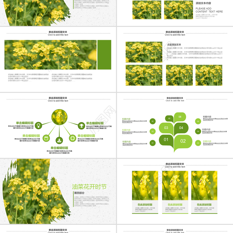 原创春天乡村旅游油菜花风景油菜花田PPT模板