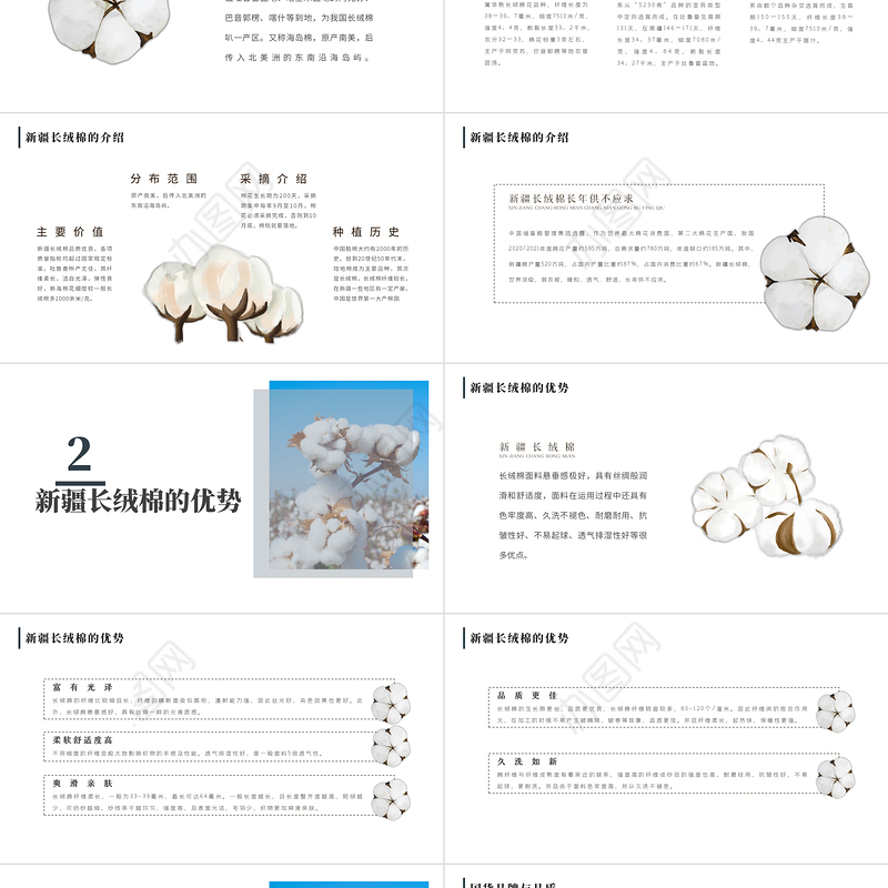 2021新疆长绒棉ppt简洁雅致纯净新疆棉花农产品介绍课件下载