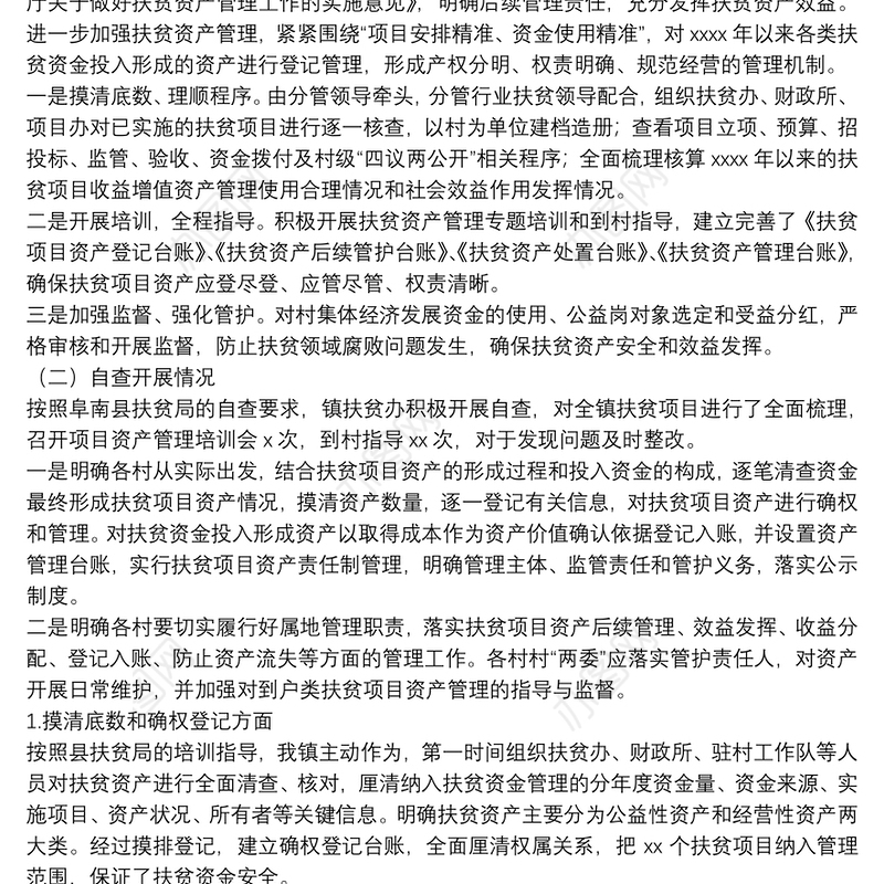 镇扶贫项目资产管理工作总结和自查报告