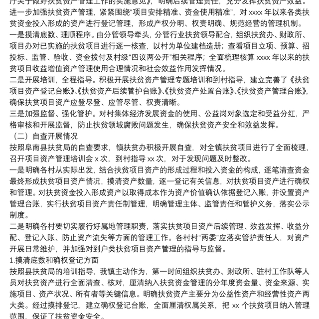 镇扶贫项目资产管理工作总结和自查报告