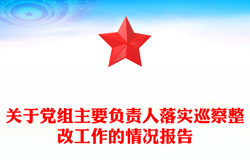 关于党组主要负责人落实巡察整改工作的情况报告