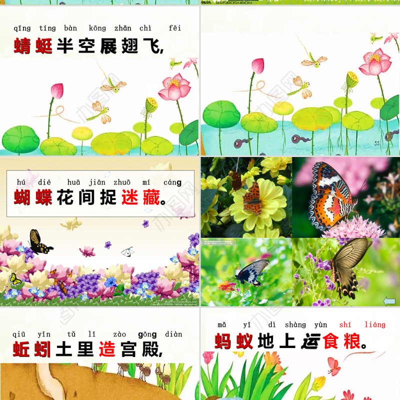 新人教版一年级语文下册《5.动物儿歌》课件PPT