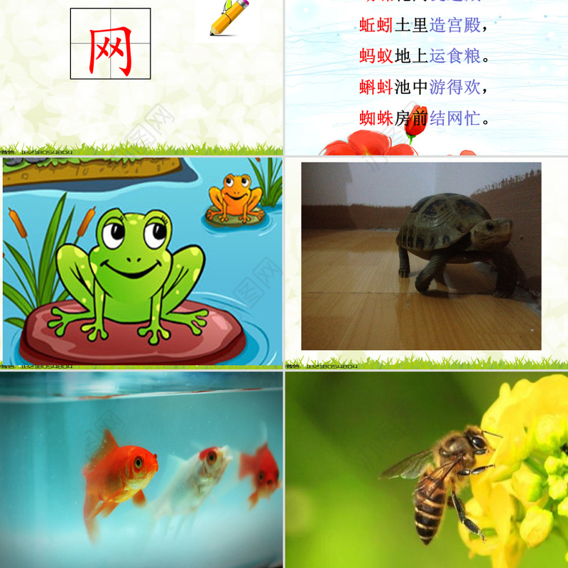 新人教版一年级语文下册《5.动物儿歌》课件PPT