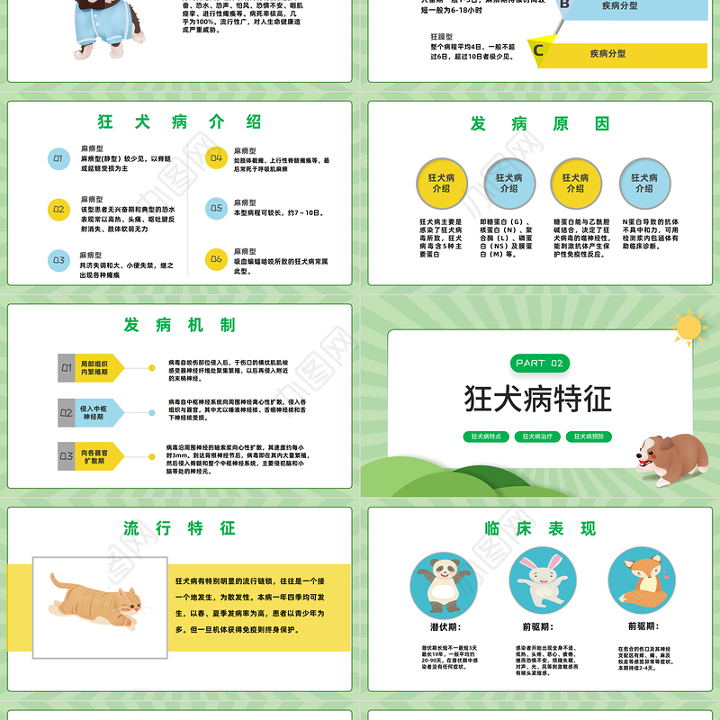2022狂犬病介绍及护理PPT卡通风狂犬病介绍预防课件模板