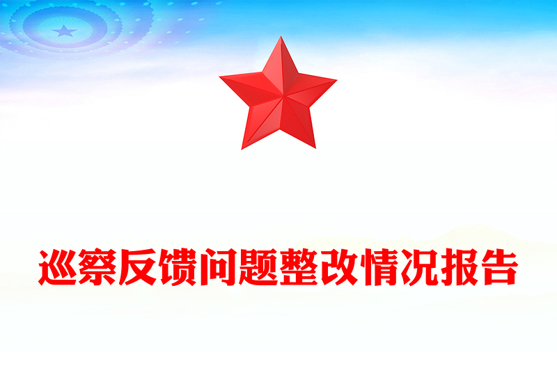 巡察反馈问题整改情况报告