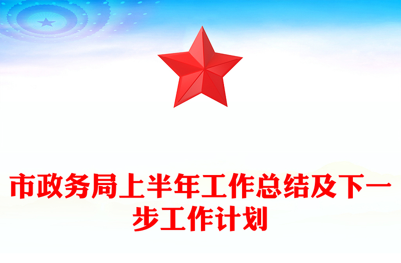 市政务局上半年工作总结及下一步工作计划