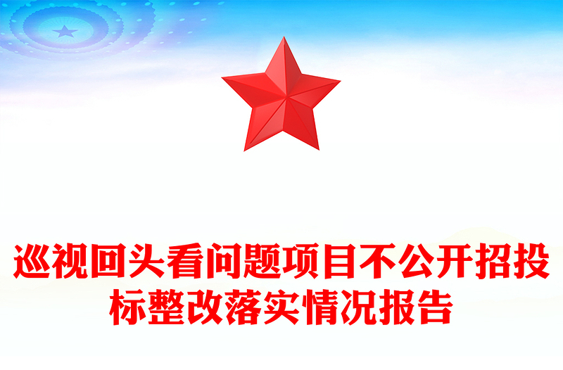 巡视回头看问题项目不公开招投标整改落实情况报告