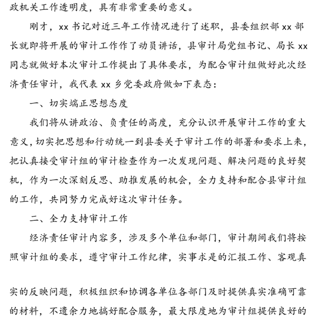 2篇经济责任审计动员会领导表态发言2篇财政决算审计会领导表态讲话发言