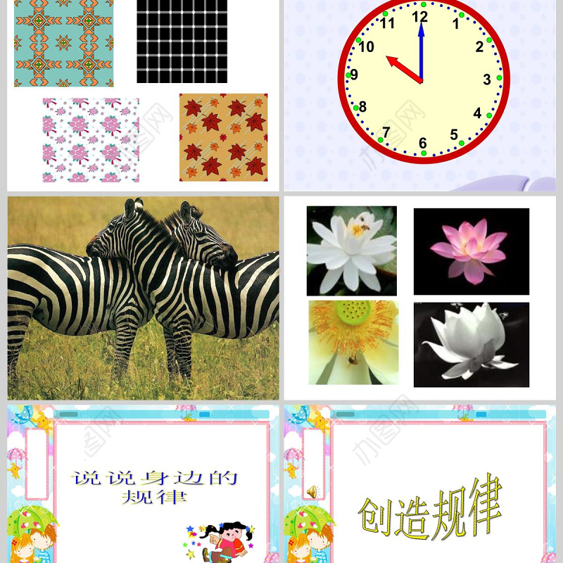  人教版小学数学一年级下册《找规律》课件PPT