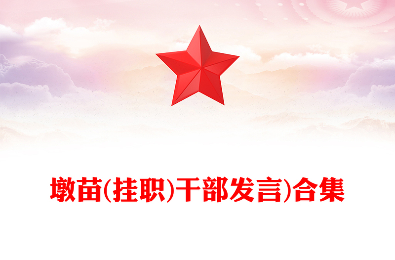 墩苗(挂职)干部发言)合集